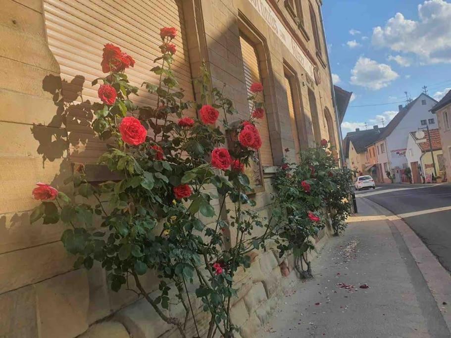 Wohlfuehloase Auf 133-160Qm In Der Idylle An Der Nahe Apartment Duchroth Екстериор снимка