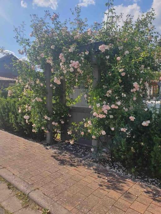 Wohlfuehloase Auf 133-160Qm In Der Idylle An Der Nahe Apartment Duchroth Екстериор снимка
